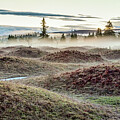 Mima Mounds Mist